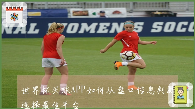 世界杯买球APP如何从盘口信息判断选择最佳平台