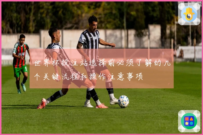 世界杯投注站选择前必须了解的几个关键流程和操作注意事项