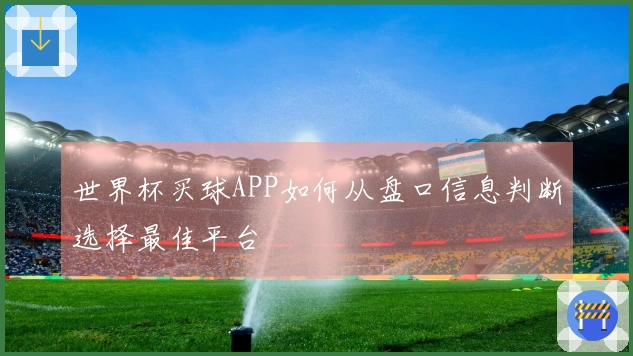 世界杯买球APP如何从盘口信息判断选择最佳平台