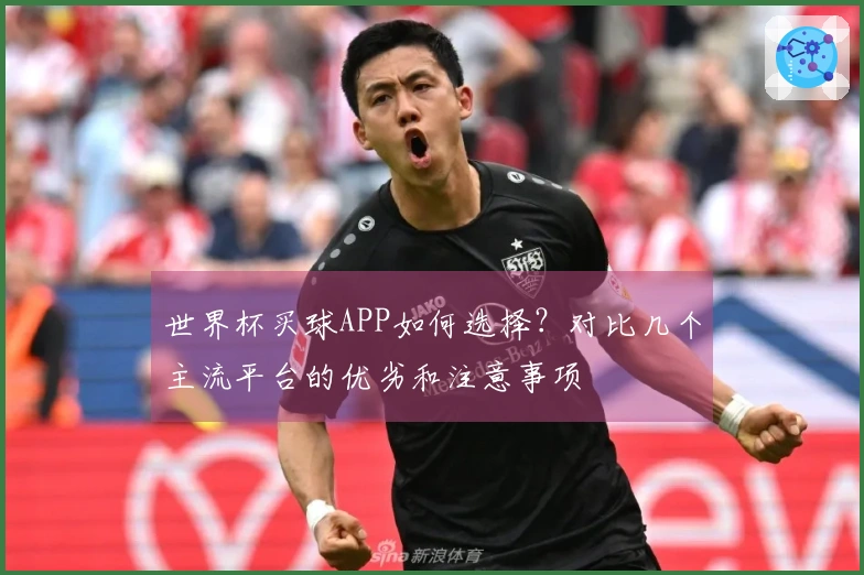世界杯买球APP如何选择？对比几个主流平台的优劣和注意事项