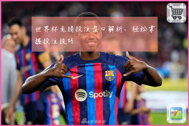 世界杯竞猜投注盘口解析，轻松掌握投注技巧