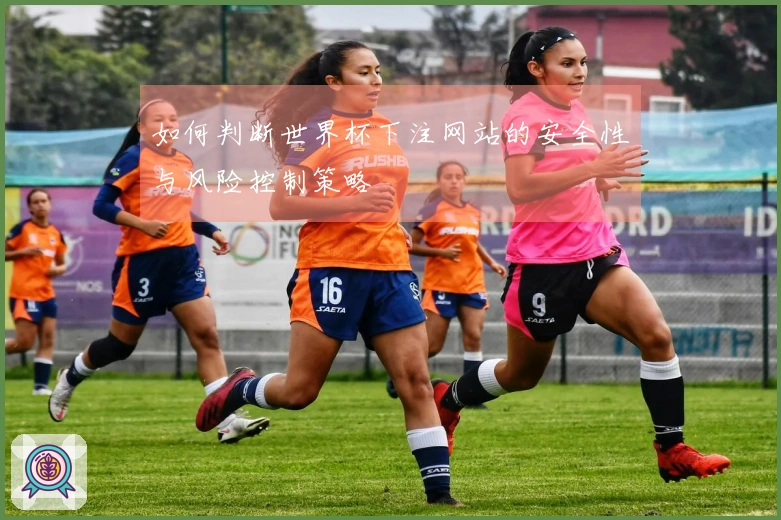 如何判断世界杯下注网站的安全性与风险控制策略