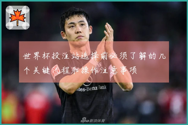 世界杯投注站选择前必须了解的几个关键流程和操作注意事项