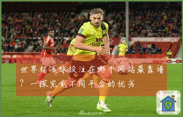 世界杯滚球投注在哪个网站最靠谱？一探究竟不同平台的优劣